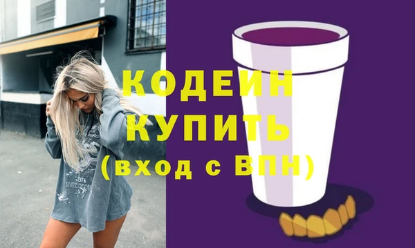 PSILOCYBIN Каменка