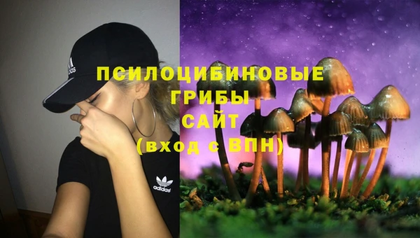 прущий лед Карпинск